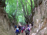 Kazimierz Dolny Puławy 2017 (7)